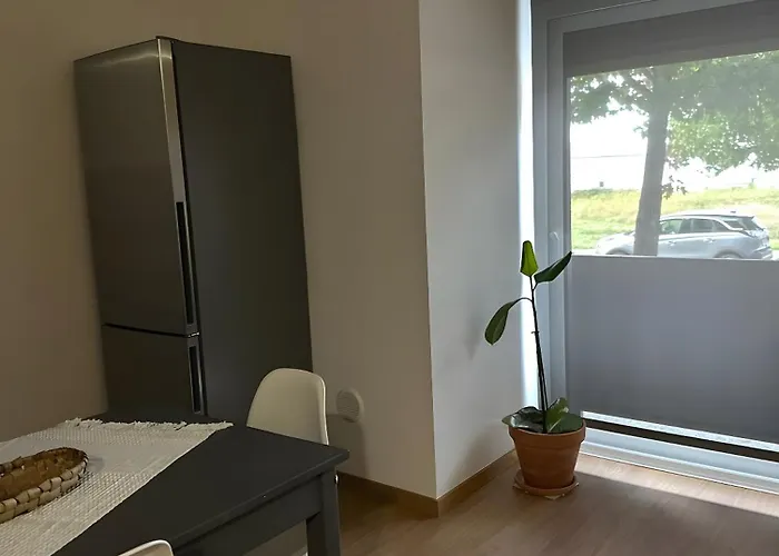 Vale Viver Διαμέρισμα Vale de Cambra